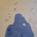 noctysoff