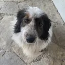 vik_u