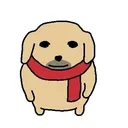 xirrito_
