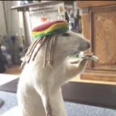 Аватар muhammed3275