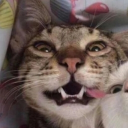 avatar ChoccyDoesStuff