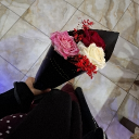 avatar 🦋 Elina 🦋