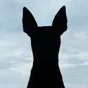 lala6666