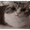 bitsonicwastaken