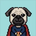 puggingchic