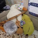 Аватар fallenking375lvl