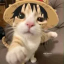 nrxnn