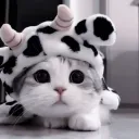 meowairaw