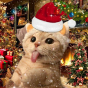 avatar ☆𝑴𝒂𝒚☆