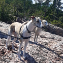 Profilbild för Fridolin
