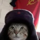 foedi