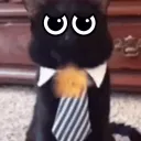 zhy9