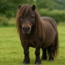 Аватар wshnkk1m