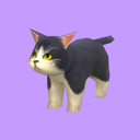 niikko
