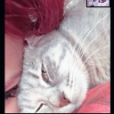 avatar mervemikrofonunaçık