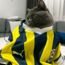 Demir