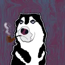 doggycripcort