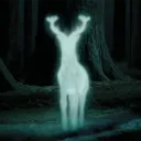 expecto_patronum111