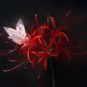 rosehd101