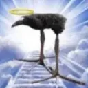 birbzza