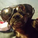 dodo.old.timer avatar