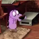 daniboidisc