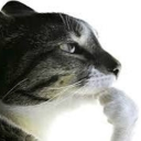 avatar megamarynarzpl