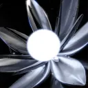 noxvero