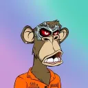 beroid_