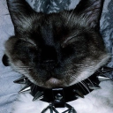 avatar ♡ 𝔊𝔩𝔢𝔫