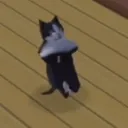 no_se2.0 avatar