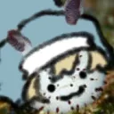 anim_