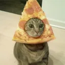 bagelraccoon_ avatar