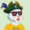 justcatnfts