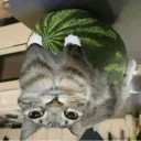kianplayz