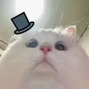 pixel_cattt