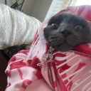 avatar Katie ‹𝟹