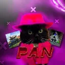 pan04741