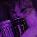 avatar Еллі 🦋🥀