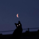 avatar Allkynn (𝔣𝔬𝔯𝔤𝔢𝔱)