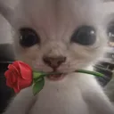 michalix_.