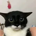 .not_phantom avatar