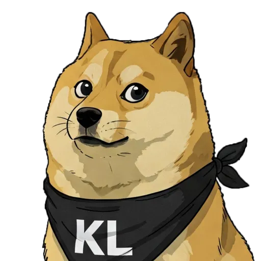 WTF DOGE