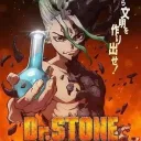 drpstone