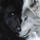 deitywolf