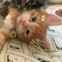 avatar ও  s٭gᥱ  ˙☼*