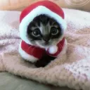 Аватар игрока rezak_lol