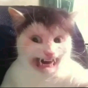 avatar AyoMaju