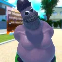 joaquim3.