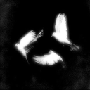 avatar 𝓘𝓼𝓪𝓪𝓬